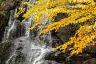 USA, Vermont, Granville. Moss Glen Falls on Route 100. Art Print